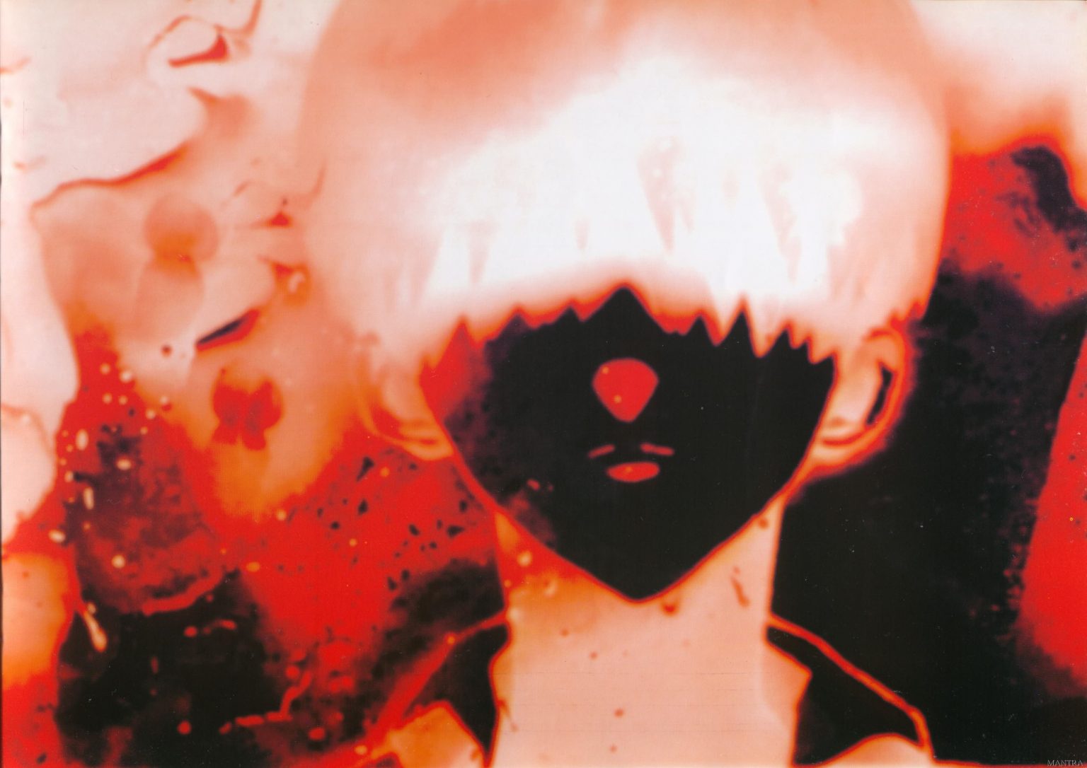 RED CROSS BOOK - EVANGELION NOT END